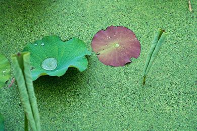 日式RPG	《第三势力的崛起》确定2月10日登陆全主流平台